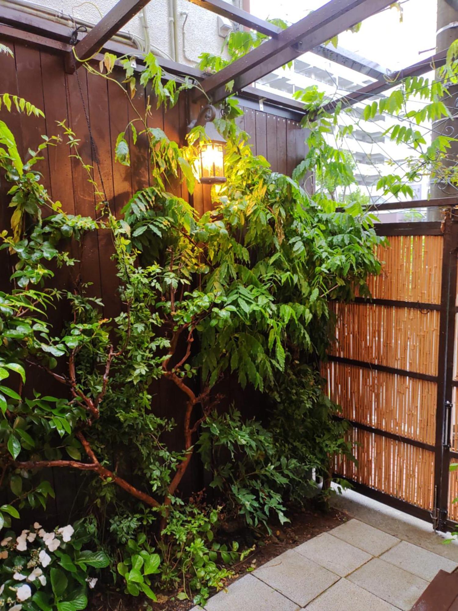 藤紫fujimurasaki Japanese Classic House Tóquio Exterior foto